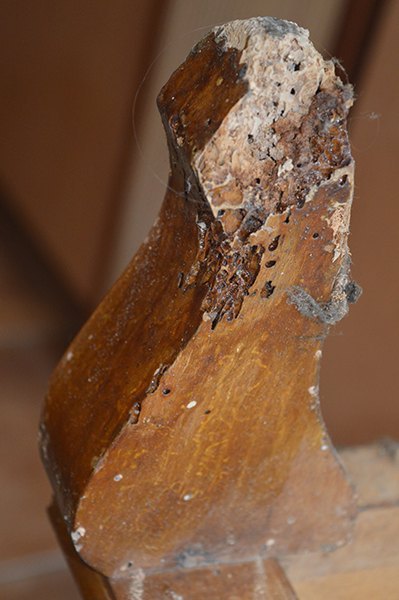 DSC_0505p.jpg
